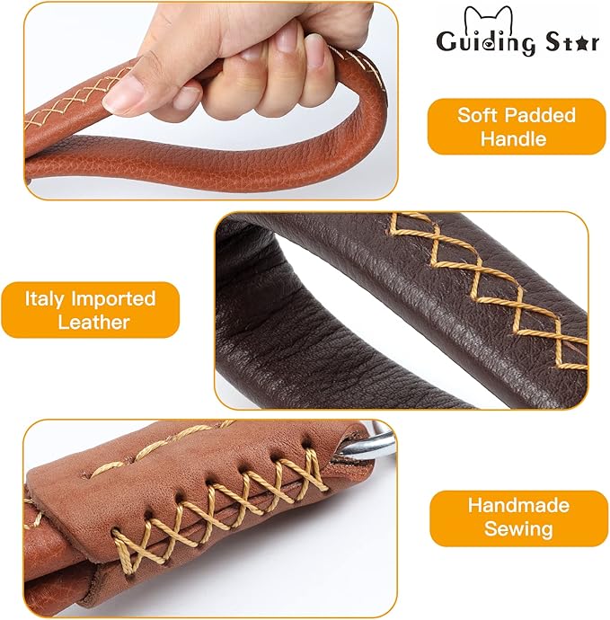 Guiding Star Short Leather Dog Leash - Traffic Leash for Large & Medium Dogs - Training & Walking (12"*3/4", Brown)