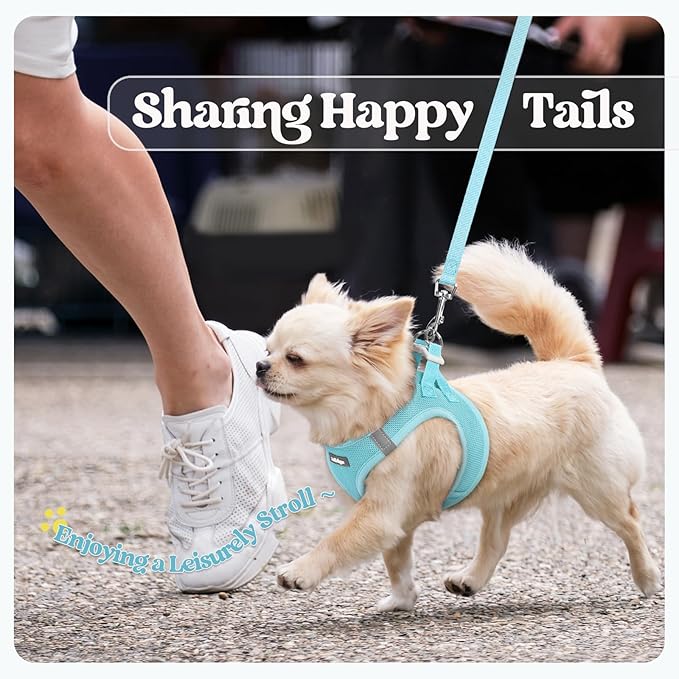 rabbitgoo Dog Harness Small Sized and Leash Set, Step in Soft Light Puppy Vest, Breathable Mesh Pet Harness, Reflective for Safe Easy Walking, Mint Blue XXS