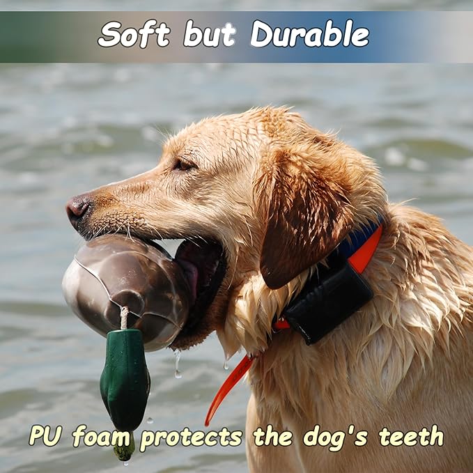 fingig 2 Pcs Duck Dummy Bumper Toys for Hunting Retriever Dog Training, Dog Retriever Outdoor Training Toy ，Hunting Duck Recognition Trainers, Foam Pet Interactive Toys