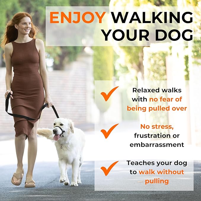 Canny Collar No-Pull Dog Head Collar | Train Your Dog to Stop Pulling & Walk On a Loose Leash | Gentle, Safe, Comfortable Training Aid | Medium Dogs | Black, Size 4