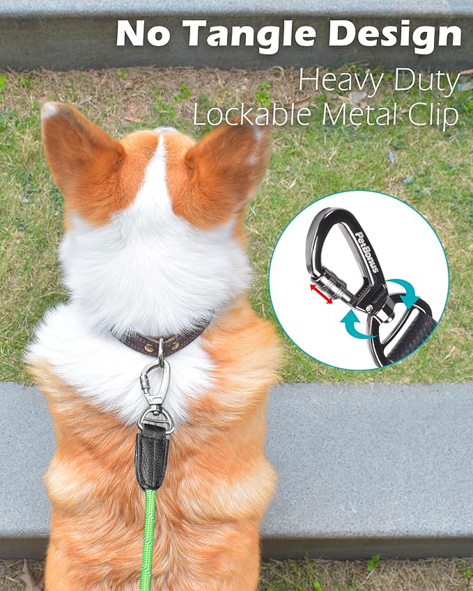 PetBonus Double Handle Rope Dog Leash, 6FT Heavy Duty Training Lead with Lockable Hook and 2 Comfortable Padded Handles, Reflective Walking Nylon Leash for Small Medium Dogs (11-55 lbs, Green)