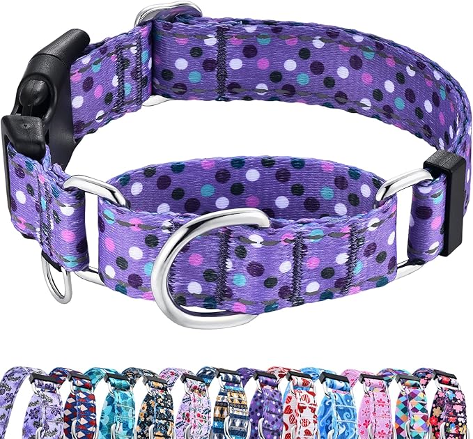Reflective Martingale Collar for Dogs with Quick Release Buckle Cute No Pull Training Dog Collars (Purple Polka Dot, Small)