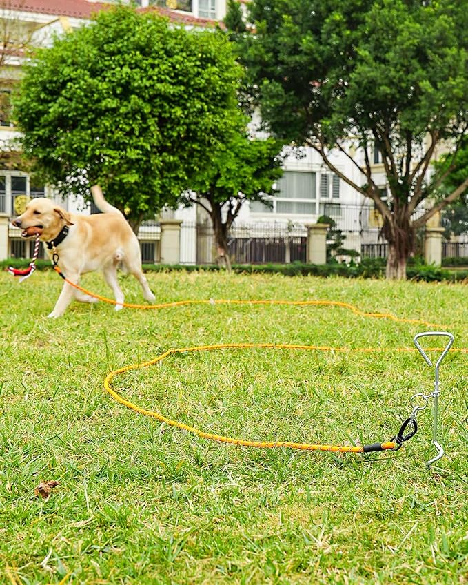 Joytale Long Leash for Dog with Removable Padded Handle, Heavy Duty Lead for Large Medium Dogs,15FT/30FT/50FT/65FT Reflective Training Leash for Play, Camping, Backyard Tie Out, Orange, 50FT