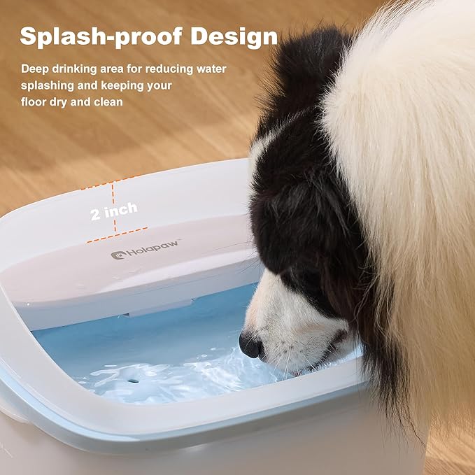 HOLAPAW Dog Water Fountain for Large Dogs, 2.1Gal/8L Dog Water Bowl Dispenser, No Spill Automatic Pet Water Fountain for Dogs Cats Multiple Pets with Ultra Quiet Pump, 3 Filter Replacement, Blue