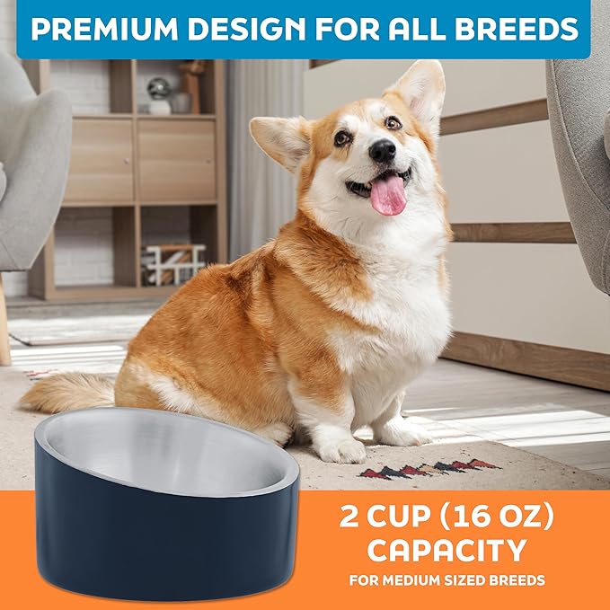 Master Pet Supply Stainless Steel Slanted Dog Cat Food Bowl - 16 oz Heavy Duty - Navy Blue, Double Wall Insulated, Non-Slip Elevated Bowl for French Bulldogs Pugs Cats, Anti Rust Dishwasher Safe
