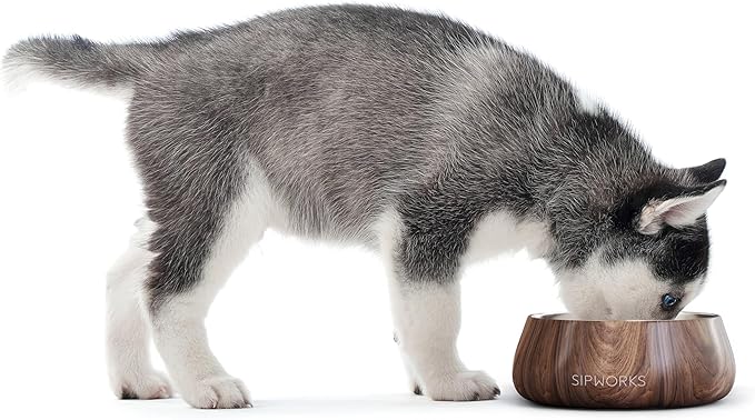 Stainless Steel Dog Bowl – 32oz Weighted Metal Food and Water Bowls for Dogs and Cats with Non-Slip Base - Pet Bowls for All Breeds Sizes for Travel & Outdoor Play - Midnight Black