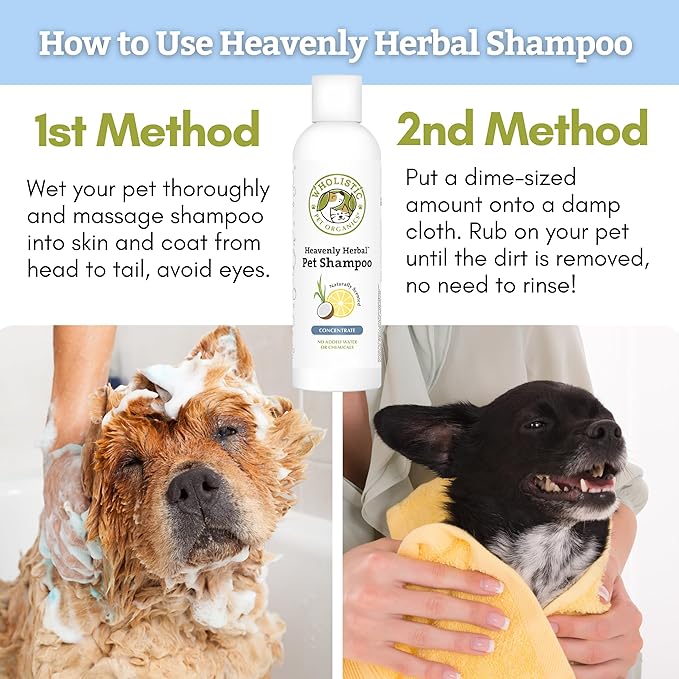Wholistic Pet Organics Pet Shampoo Concentrate: Heavenly Herbal Organic Dog Shampoo and Conditioner - All Natural Puppy and Cat Shampoo for Dry, Itchy Skin, Allergies, Dandruff (2.0, Ounces)