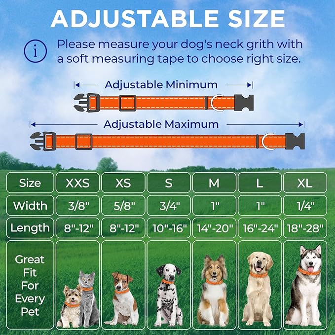 TECEUM Reflective Dog Collar – Orange – L – Extra Soft Padding – Basic Nylon Pet Collar – Quick Release Buckle – Fits Small, Medium and Large Dogs, Puppies, Cats – ESA & Service Dog Options