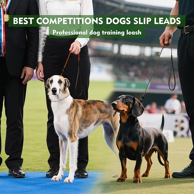 BeauGo| Slip Leads for Dogs| Dog Training Leash,Thin Rope specifically Designed for Dog Training and NGKC Competition,Sturdy and Durable,Ultimate Training,Suitable for All Dogs.Slip Leash 3.6FT