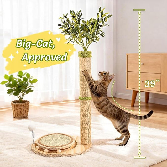 39" Tall Cat Scratching Post, Cute Olive Tree Cat Scratcher, Interactive Cat Toys with Ball Track & Spring Ball, Sturdy Cat Tree with Scratch Pad for Indoor Cats Adults and Kittens