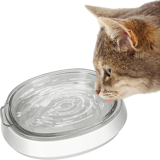 Small and Shallow Glass Bowl for Kitten | Water Bowl for Cats Kitties Puppy | Transparent Pet Feeding Bowl,Promotes Pet Hydration, Durable and Stable Design,Protect Pet's Spine,Dishwasher Safe