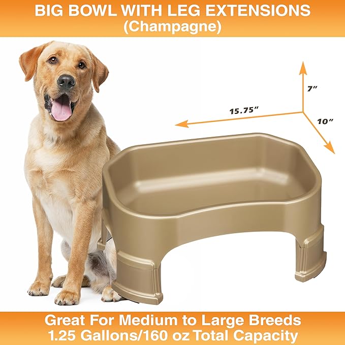 Neater Pet Brands Large Water Bowl for Dogs, Raised Outdoor Dog Water Bowl (1.25 Gallon XL Capacity), Big Trough Style Food Dish for Indoors or Outside, No Spill Large Dog Bowls, Champagne