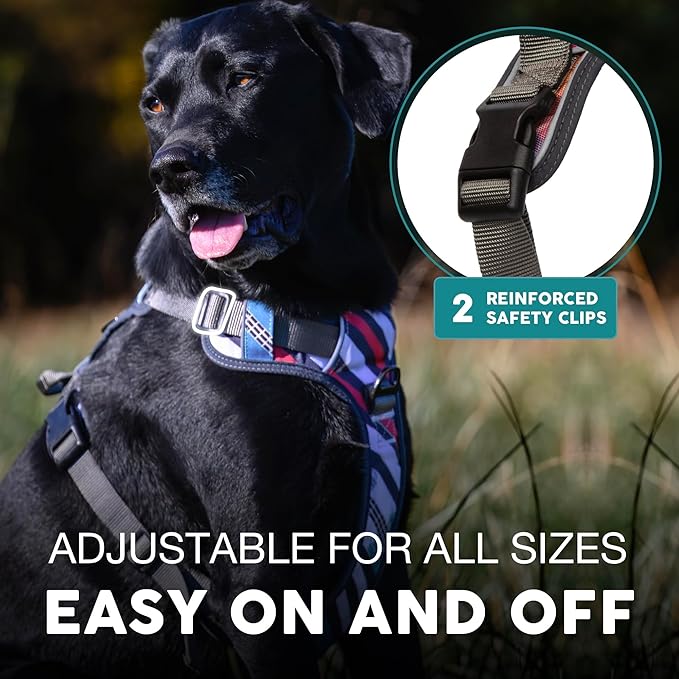 Embark Adventure Dog Harness, No-Pull Reflective Trim Dog Harness for Small, Medium & Large Dogs - Heavy Duty Oxford, 2 Leash Clips & Gel Lined Handle. Soft & Padded Puppy Dog Vest for Any Breed