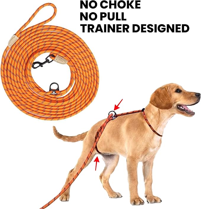 30ft Check Cord to Train Dog, Anti Pulling, Dog Leads for Walking, Double Hook & Escape Proof for All Breeds, Reflective Orange