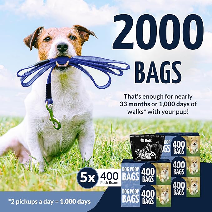 Reli. Dog Poop Bags (2000 Pack, 5 Large Rolls) | 9"x13" Large Poop Bags for Dogs | Unscented, Leak Proof for Doggie/Pet Waste Clean Up | Black | Dispenser Box | Bulk