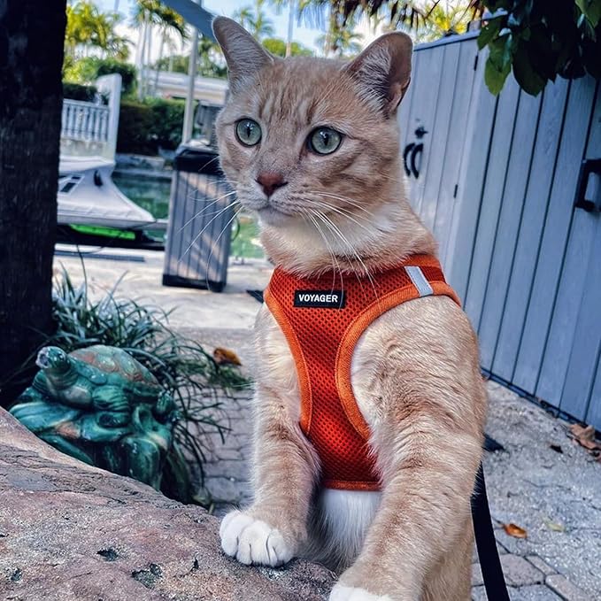 Best Pet Supplies Voyager Step-in Air Harness - All Weather Mesh, Reflective, No Pull Harness for Dogs, Cats - Secure with Hook & Loop Fastener, Buckle, Double D-Rings - Orange, XXXS