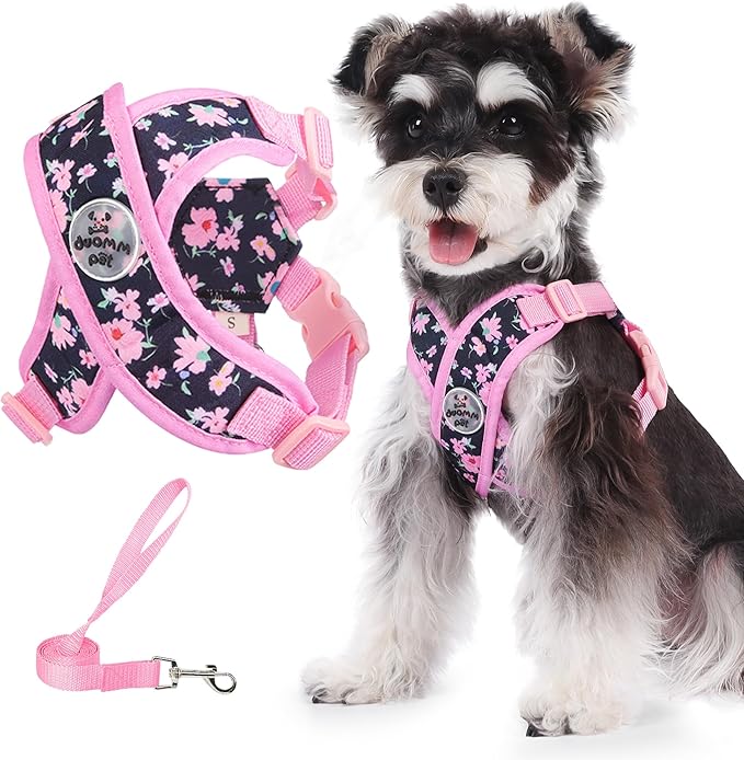 Patas Lague Dog Harness with Leash Set Adjustable Soft Padded Step-in Dog Vest No Choke No Pull Reflective for Small Medium Pets with Poop Bags and Dispenser, Solid and No-chew, Floral Pink M