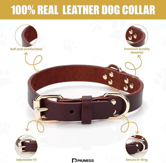 100% Real Leather Dog Collar, Premium Adjustable Fit with Durable Buckle, Stylish Comfort for Dogs (Small)