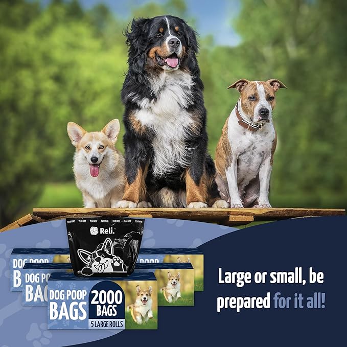 Reli. Dog Poop Bags (2000 Pack, 5 Large Rolls) | 9"x13" Large Poop Bags for Dogs | Unscented, Leak Proof for Doggie/Pet Waste Clean Up | Black | Dispenser Box | Bulk