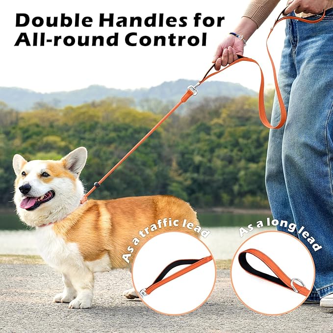 6FT Slip Lead Dog Leash with Double Padded Handle, Anti-Tangle Slip Leads for Dogs, Reflective Nylon No-Pull Training Leash for Small Medium Dogs, Orange