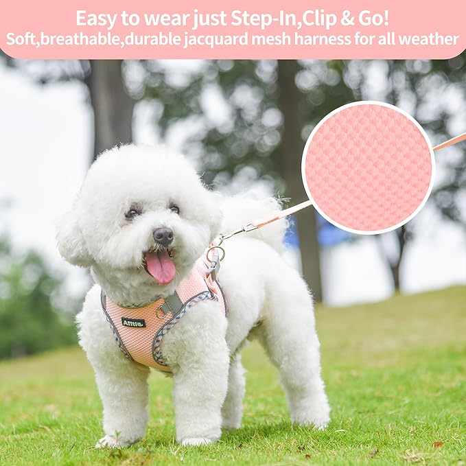 AIITLE Teacup Puppy Harness with Leash - Adjustable Soft Vest with Magic Tape & Reflective Safety Strips, Easy-Put-On for Poodles, Pomeranians - Gym, Hiking, Travel (Pink, S)