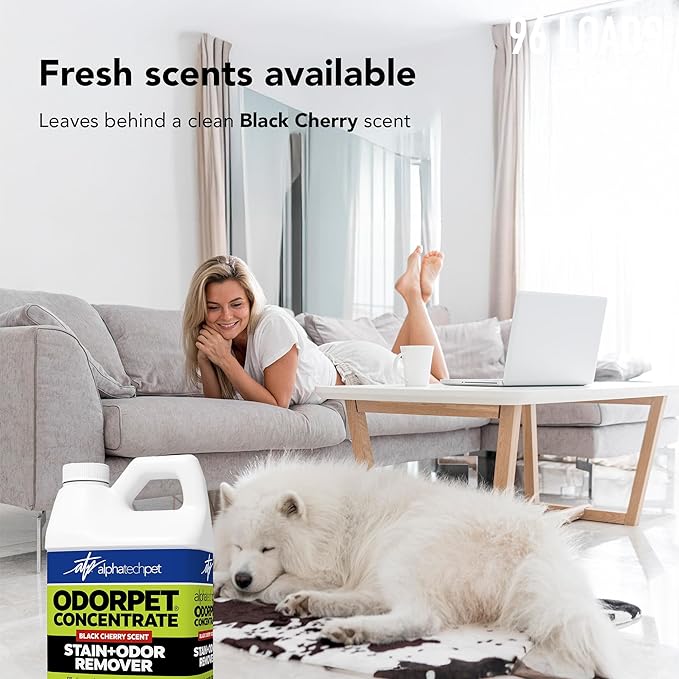 OdorPet Pet Stain Remover and Odor Eliminator - 64 Oz (Makes 2.55 Gallons of Working Solution) Non Staining, Professional Strength, Black Cherry Scent by Alpha Tech Pet