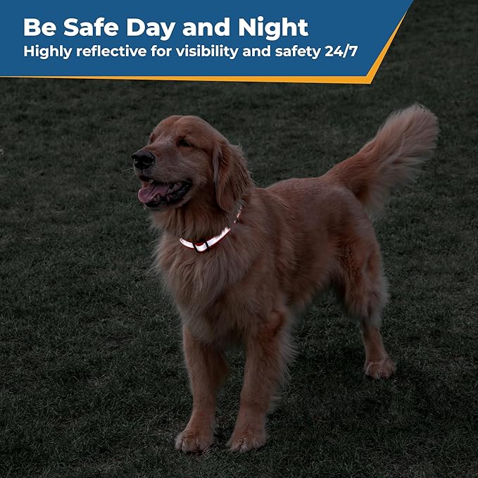 GoTags Reflective Personalized Dog Collar, Custom Embroidered Safety Collar with Pet Name and Phone Number for Boy and Girl Dogs, Small, Medium, and Large Adjustable Sizes (Medium, Charcoal)