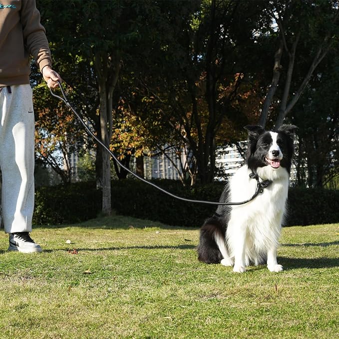 Slip Leash for Dogs, Heavy Duty No Pull Dog Training Leash, 6FT Strong Nylon Rope Slip Leads Control Leashes for Large Medium Dogs (Black)