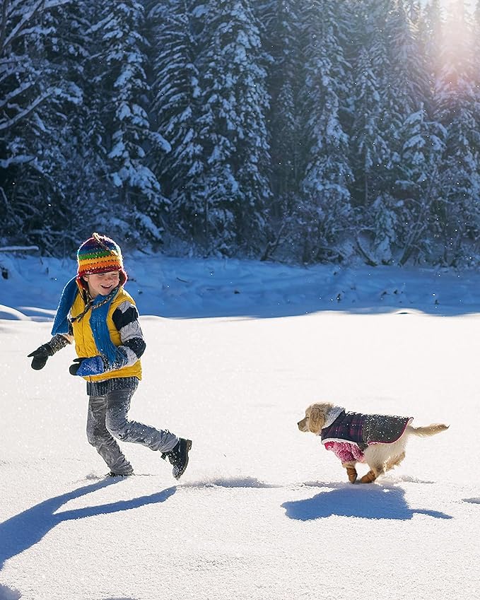 Winter Dog Boots & Paw Protectors: Outdoor Anti-Slip Dog Snow Shoes, Dog Booties Provide Warmth to Dogs Paws from Ice and Snow, Rubber Sole PU Leather Upper Faux Fleece-Lined, Black Dog Shoes Size 3