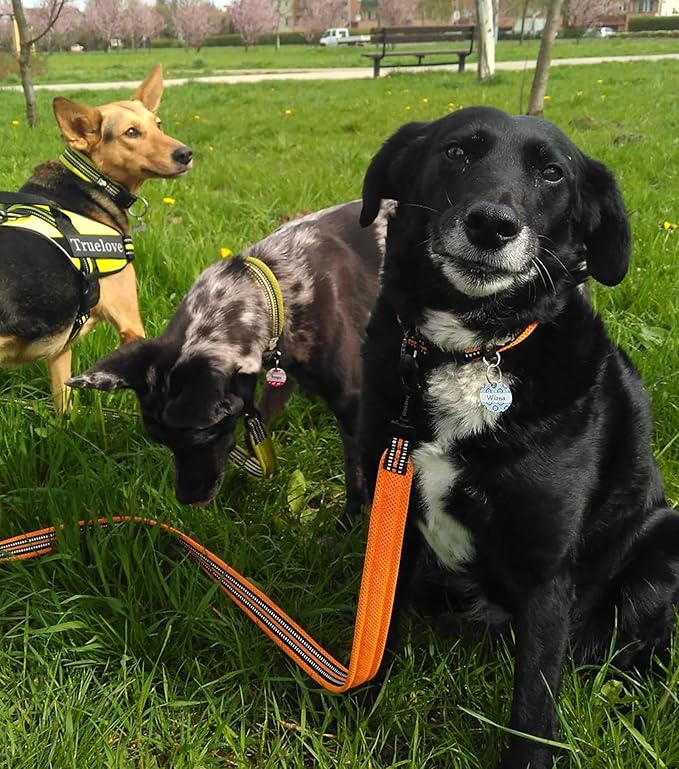 TRUE LOVE Reflective Dog Leash Puppy Walking Lead, Padded Pet Chain Rope，Length 110cm Truelove TLL2111(Orange,M)