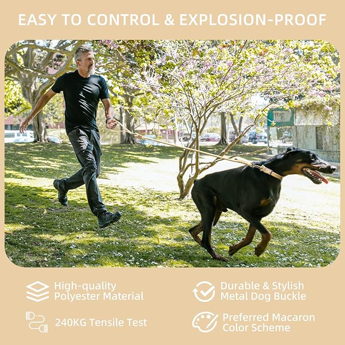 Wisedog Dog Leash for Small Dogs, 6FT Lightweight Rope Leash with PVC Soft Padded Handle, Rustproof 360°Swivel Buckle Heavy Duty for Medium & Large Dogs (Sand Color)