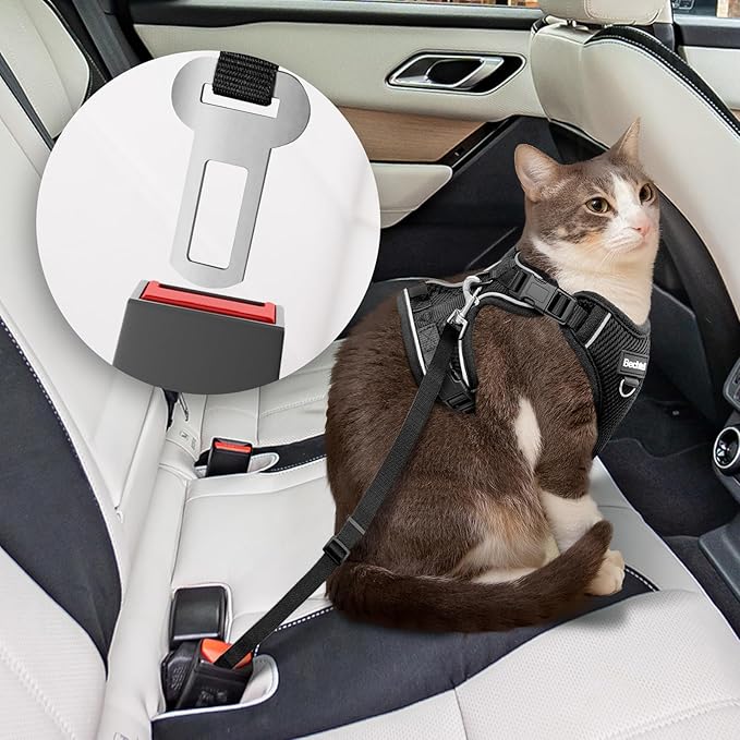 Kitten Harness and Leash Seat, The Upgrade Can be Adjusted in Four Directions and Breathable Cat Harness for Anti Escape That can be Fitted and Positioned, Reflective Strips Harness, Black,XXS