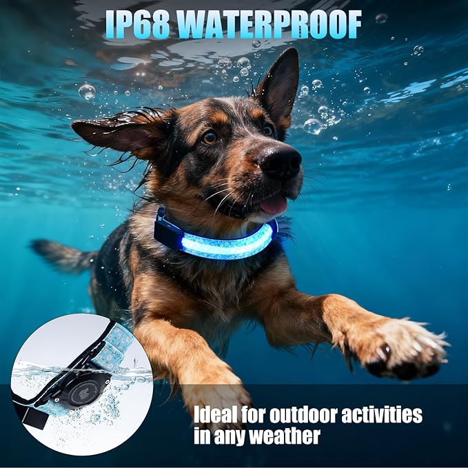 LED AirTag Dog Collar - Brightest Light Up Dog Collars - IP68 Waterproof Air Tag Dog Collar Holder - 1,600 Feet of High Visibility - Magnetic Charging - Dog Lights for Night Walking (Daisy, L)