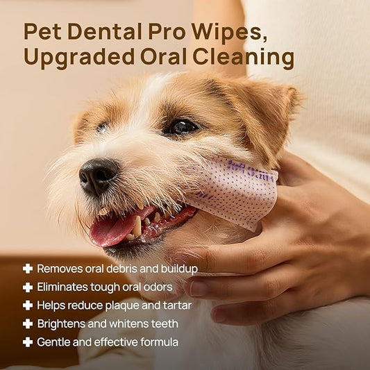 HICC PET Pro Teeth Cleaning Wipes, Vet-Recommended Dog Finger Toothbrush Wipes for Plaque & Fresh Breath, No-Rinse Dog Tooth Brushing Kit, Fresh Breath Oral Care, 50 Count, Unscented
