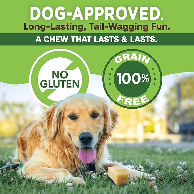 EcoKind Premium Gold Yak Cheese Himalayan Dog Chews, Healthy Dog Treats for Large Dogs, All Natural, High Protein Dog Chew, Water Buffalo, Large - 5 Chews