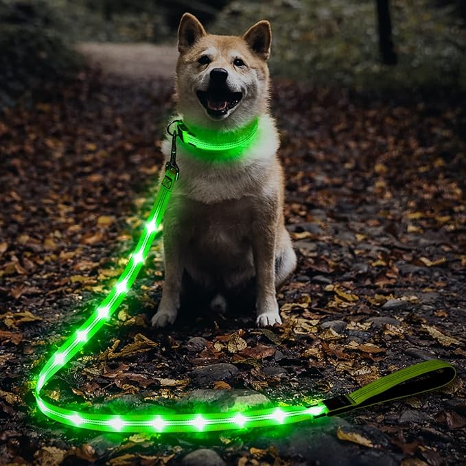 Illumifun LED Dog Leash, USB Rechargeable Glowing Light Up Dog Leash, Nylon Flashing Safety Pet Light for Night Walking (GreenⅡ)