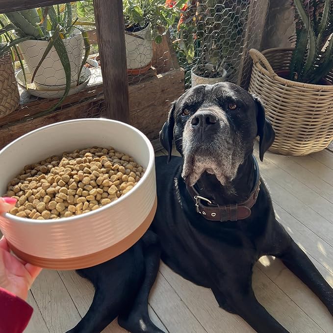 Mora Ceramic Pet Bowl Size Large - Food/Water Dish for Big Dogs, Cats, Great Dane, Mastiff, ect. 50oz or 8 Cups - Basic Bowls for Your Large Dog or Cat, Mix and Match for a Set - Vanilla White