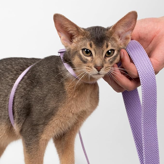 Cat Harness and Leash 2-in-1, Escape Proof Anti-Chocking Harness Adjustable Lighweight Leash for Walking Outoor Training for Kitten Small Large Cats Puppy, US IDA Bronze Award (Linen)