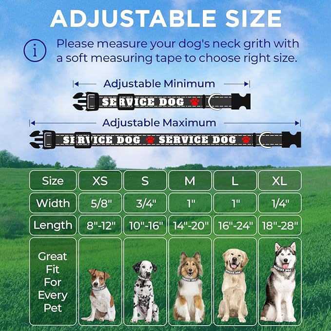 TECEUM Reflective Pet Collar – Black - Service Dog – S – Basic Nylon Dog Collar – Quick Release Buckle – Fits Small, Medium and Large Dogs, Puppies, Cats – ESA & Service Dog Options