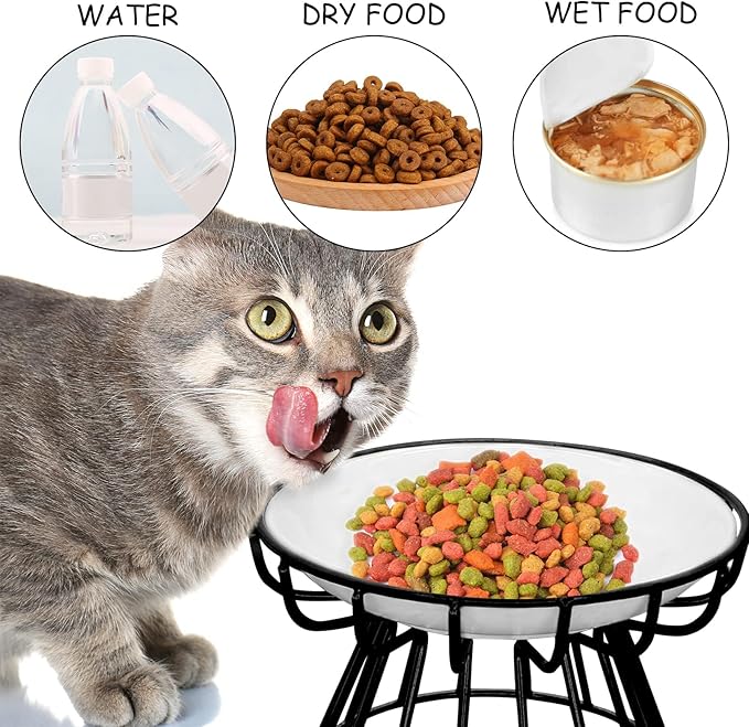 BNOSDM 4 Pcs Raised Cat Dishes Ceramic Shallow Cat Bowls with Iron Stand, Elevated Flat Whisker Fatigue Pet Wet Food Bowls for Kitten Puppy, Small Cats and Dogs (Black)