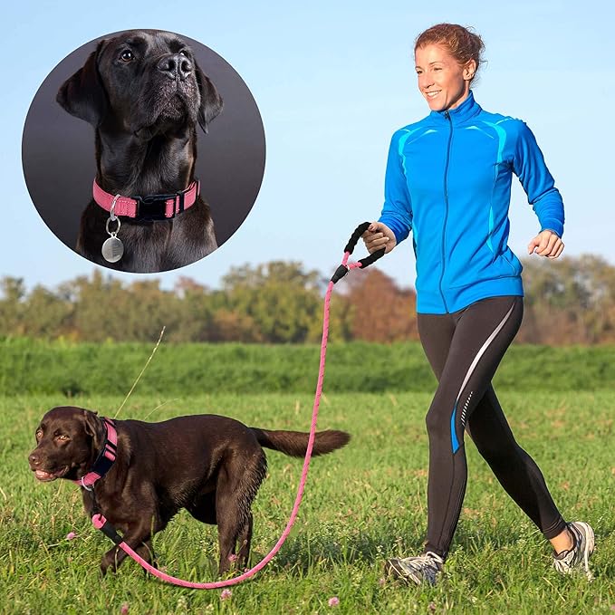 Reflective Dog Collar Padded with Soft Neoprene Breathable Adjustable Nylon Dog Collars for Small Medium Large Dogs (Large (Pack of 1), Pink Collar+Leash)