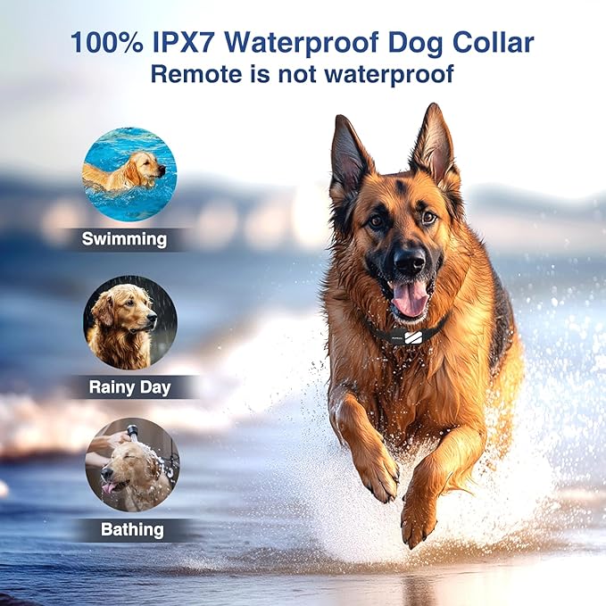 Dog Training Collar with 4 Powerful Modes - 4200FT E Collar for Dogs Training, IPX7 Waterproof Rechargeable Dog Shock Collar for 20-140 Lbs Dogs