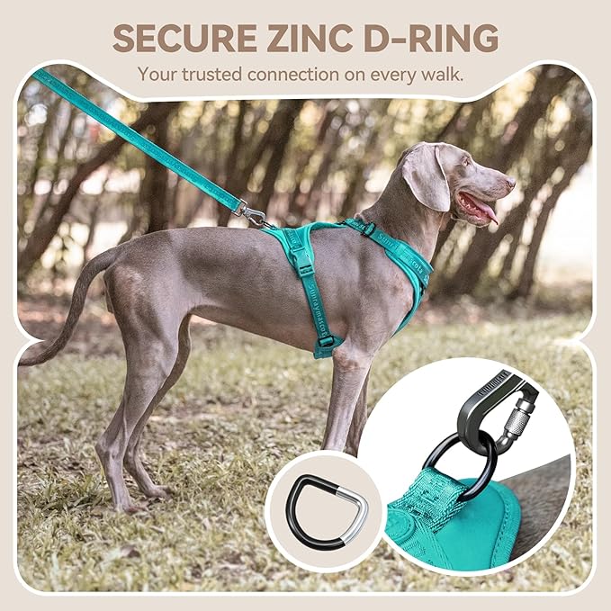 No Pull Dog Harness with Lycra, Three-Point Force Dispersion & 3D Padding, Adjustable Breathable Mesh for Small Medium Large Dogs(MARRS Green,S)