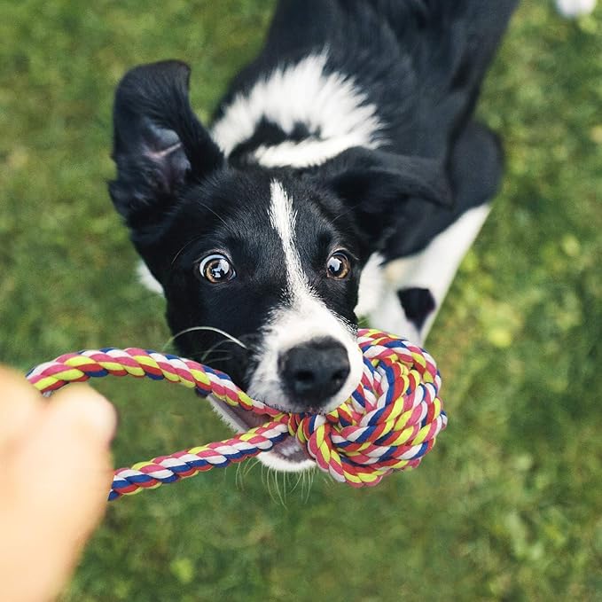 TUAHOO 6 Pack Dog Rope Toys for Small Medium Large Breed, Tough Chew Rope Tug Toy for Dogs, Flying Disc Fetch Toy Dog Rope Ball, Interactive Toy for Boredom, Puppy Teeth Cleaning