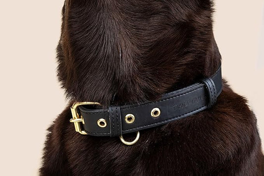 Two Tails Pet Company Cactus Vegan Leather Dog Collar, Adjustable Pet Collar with Gold Hardware and D Rings for Leash and ID Tag for Dogs and Puppies, Easy to Clean & Eco Friendly, Black, Size Small