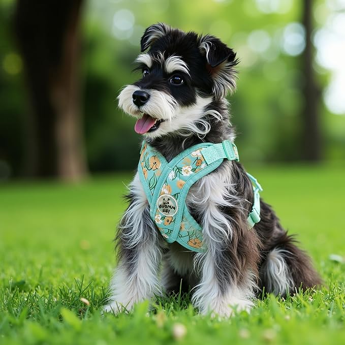 Patas Lague Dog Harness with Leash Set Adjustable Soft Padded Step-in Dog Vest No Choke No Pull Reflective for Small Pets with Poop Bags and Dispenser, Solid and No-chew, Floral Green XS