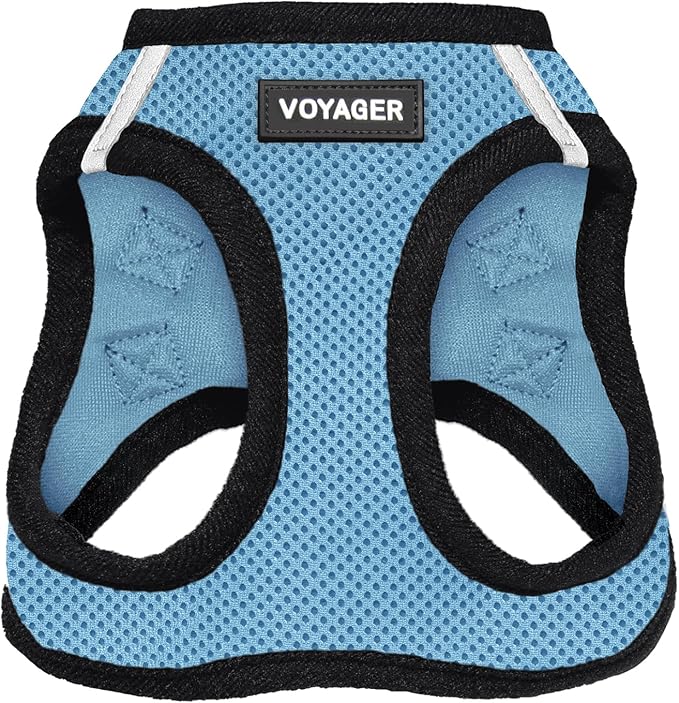 Best Pet Supplies Voyager Step-in Air Harness - All Weather Mesh, Reflective, No Pull Harness for Dogs, Cats - Secure with Hook & Loop Fastener, Buckle, Double D-Rings - Baby Blue/Black Trim, XXXS