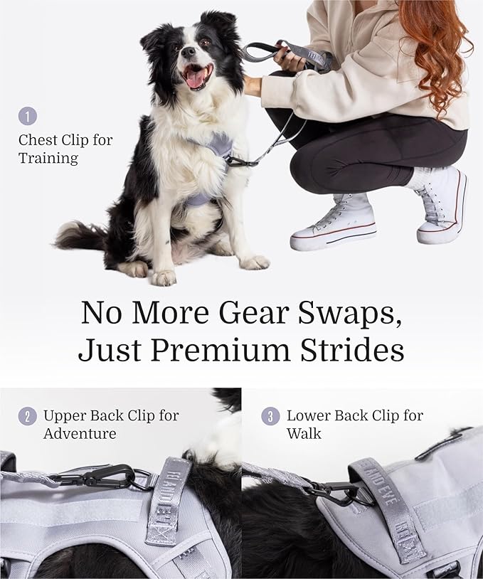 2025 New Edition, Fei & Eve MagEase Dog Harness - 3-Second Magnetic Buckles | 3-Point No-Pull Control | Heavy-Duty 900D Nylon | Dual Safety Handles | Breathable Mesh | Adjustable Fit | Small, Gray
