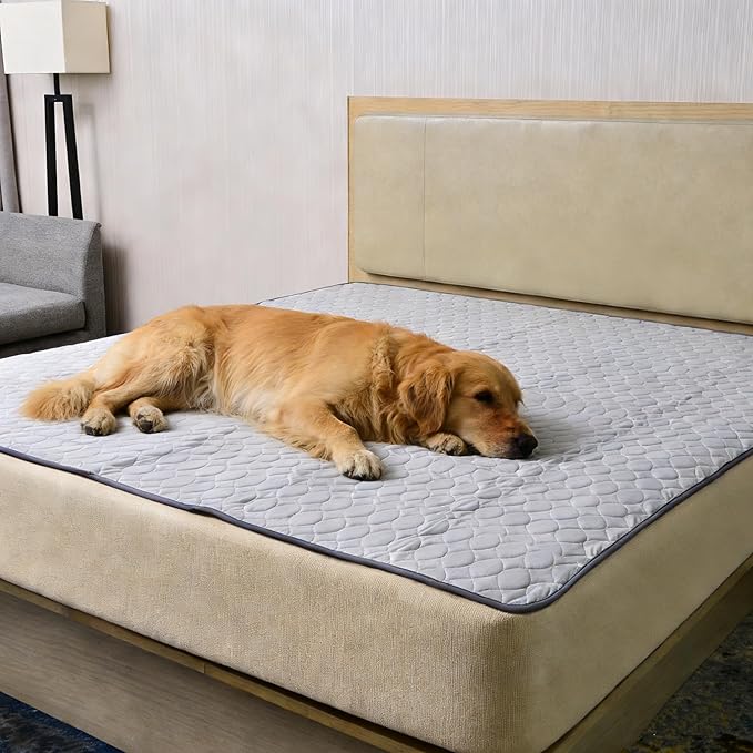Waterproof Dog Bed Cover Pee Pads Training Pads 65"x48", Nonslip Pet Bed Pad with Ties, Washabl Reusable and Super Absorbent Dog Mat for Whelping, Housebreaking in Playpen, Crate or Kennel (Large)