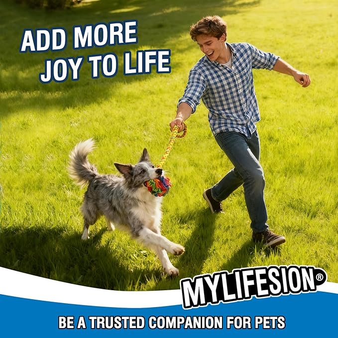 Leash-Attached Snuffle Ball, Dia 6 inch Dog Treat Toy, Puppy Dog Puzzle Toy, Snuffle Ball for Dogs, Cats, Rabbits, Hamsters，Train Sense of Smell, Slow Down Their Eating Pace